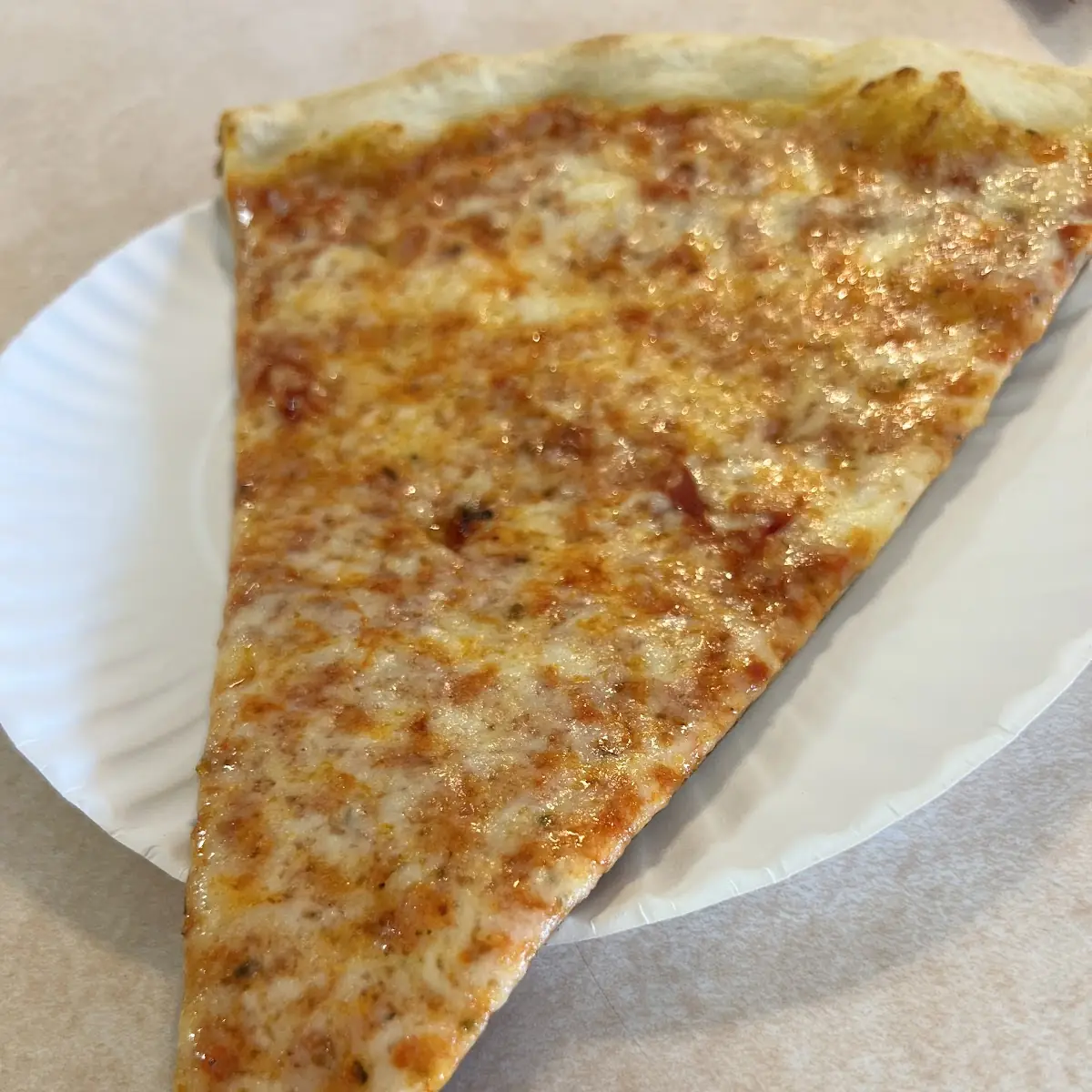 Plain Cheese Pizza