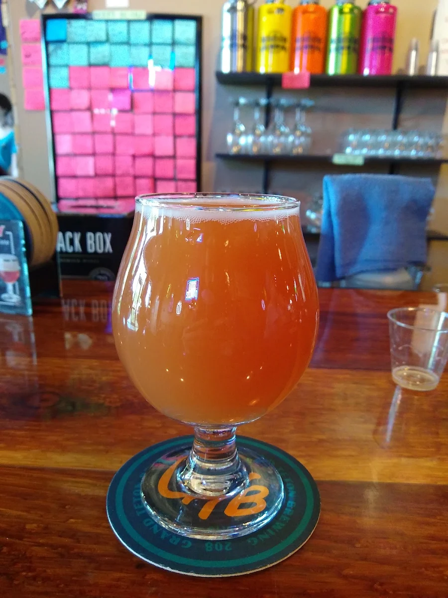Decadent Ales- Raspberry French Toast IPA