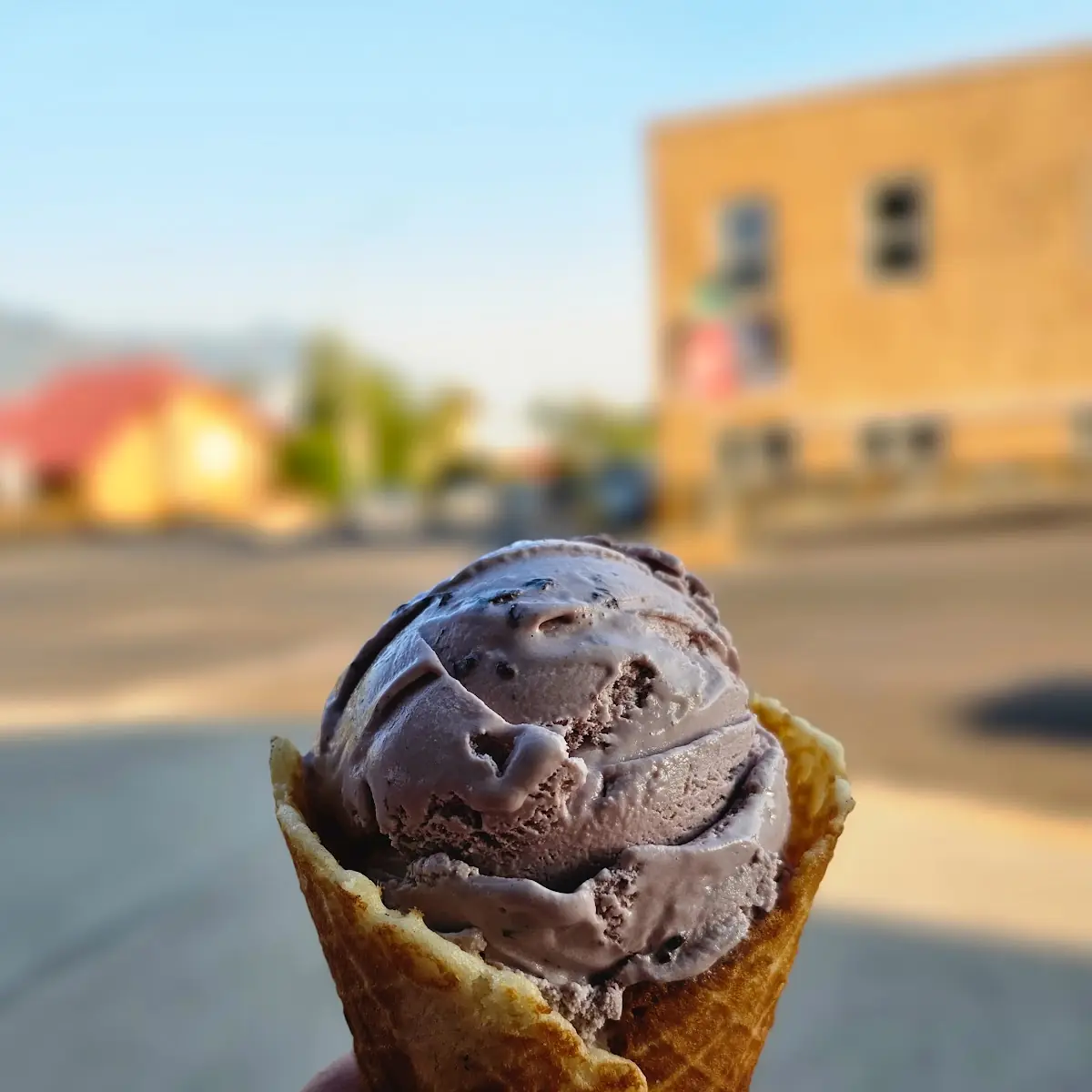 Wild Huckleberry Ice Cream in Waffle Cone