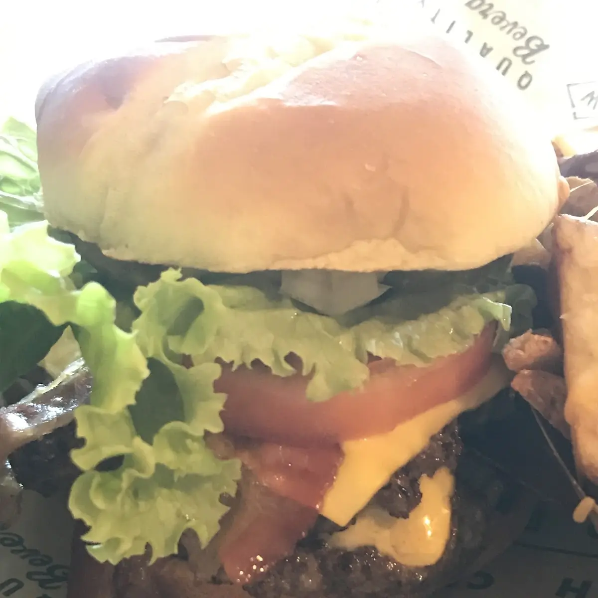 Double Bacon Cheeseburger
