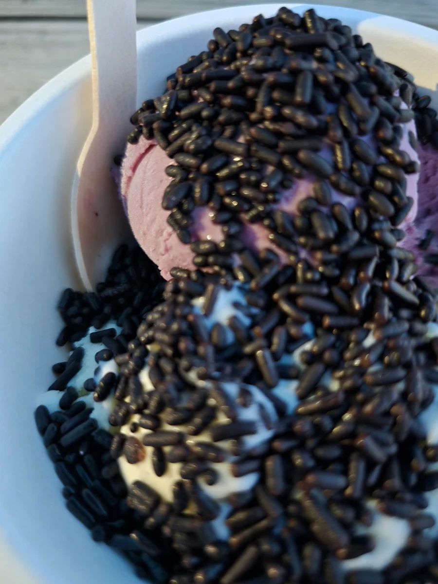 Black Raspberry with Chocolate Sprinkles