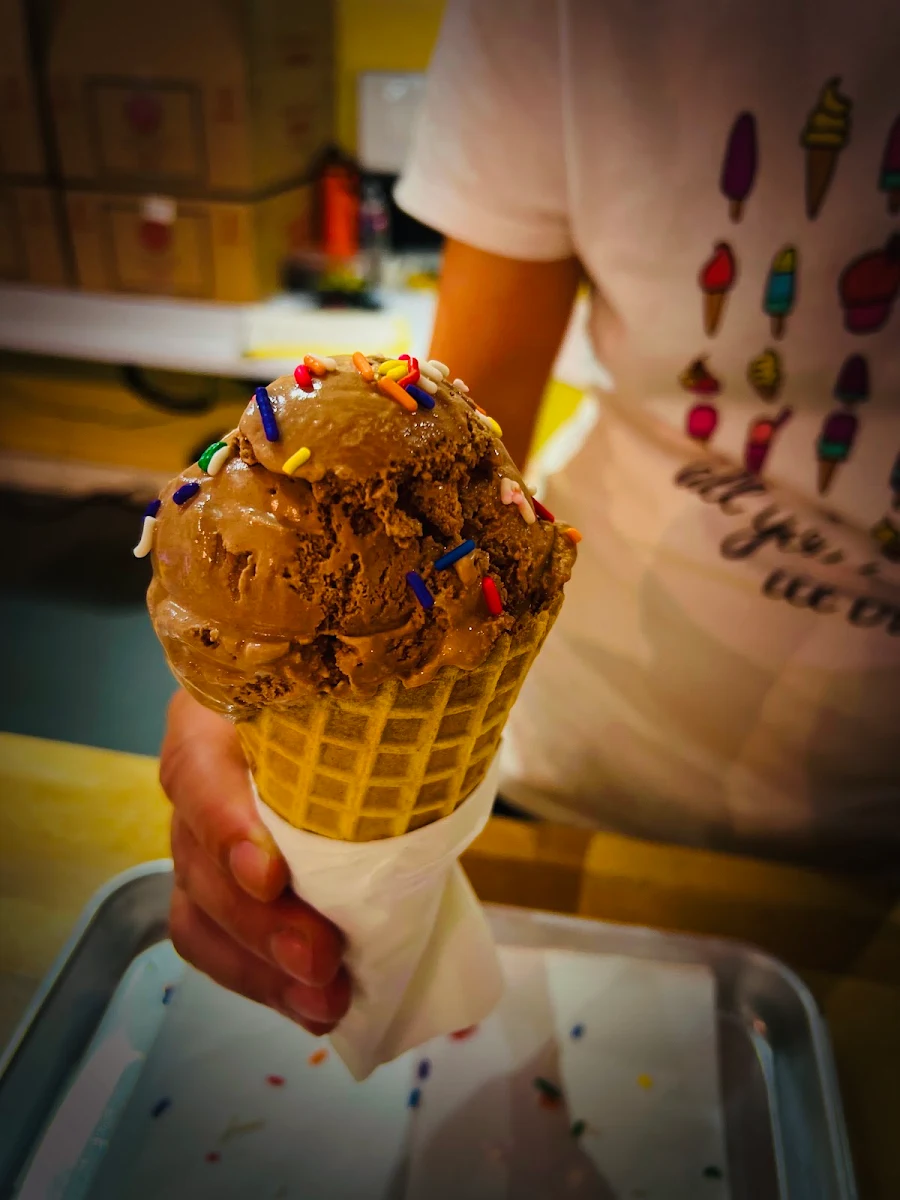 Chocolate Ice Cream
