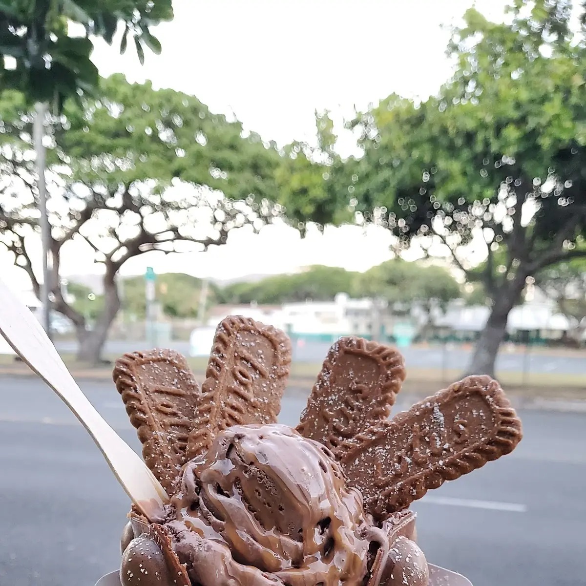 Chocolate Bubble Waffle with Chocolate Ice Cream Caramel and Biscoff Cookies