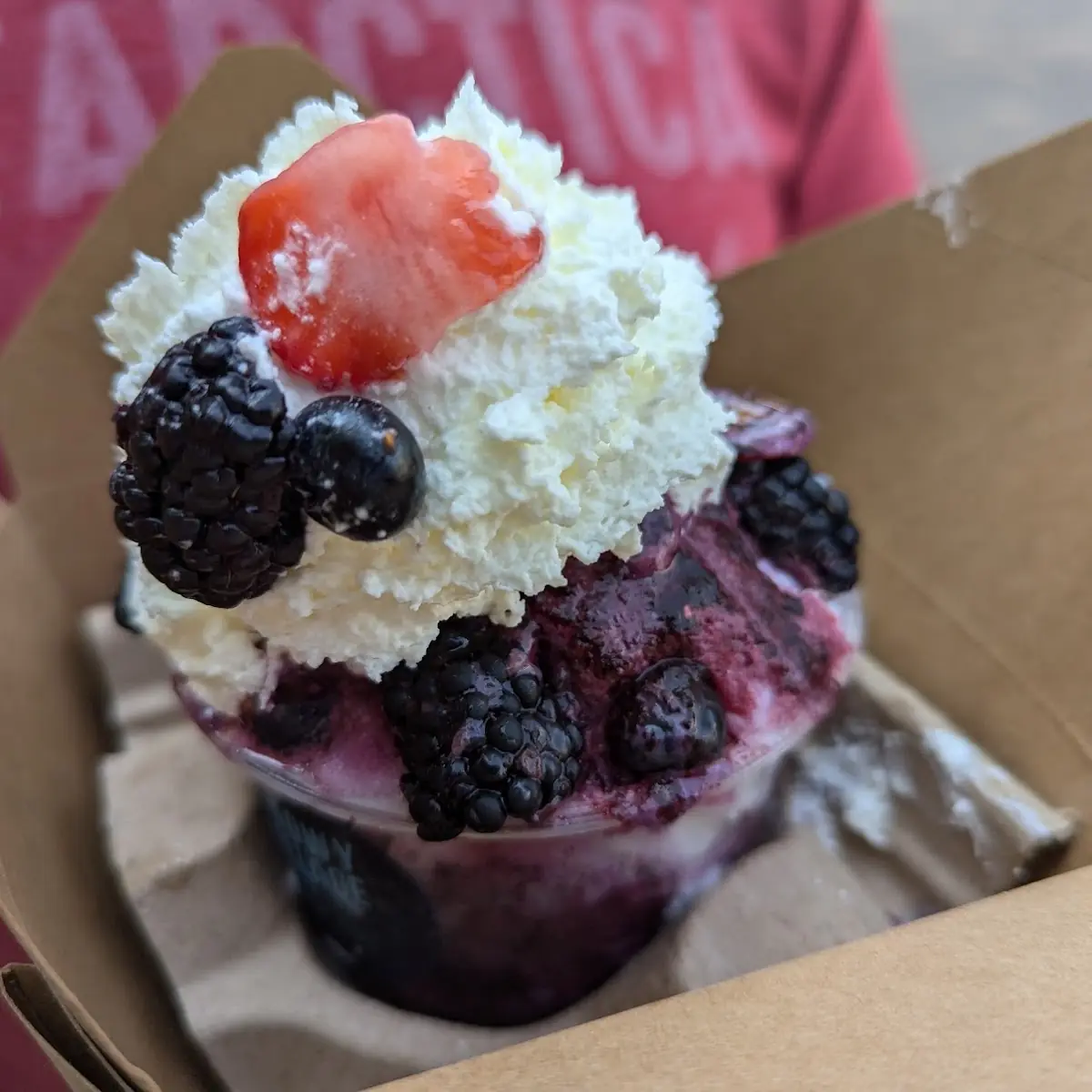 Mixed Berry Bingsoo