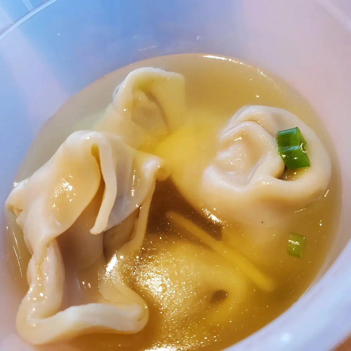 Wonton Soup