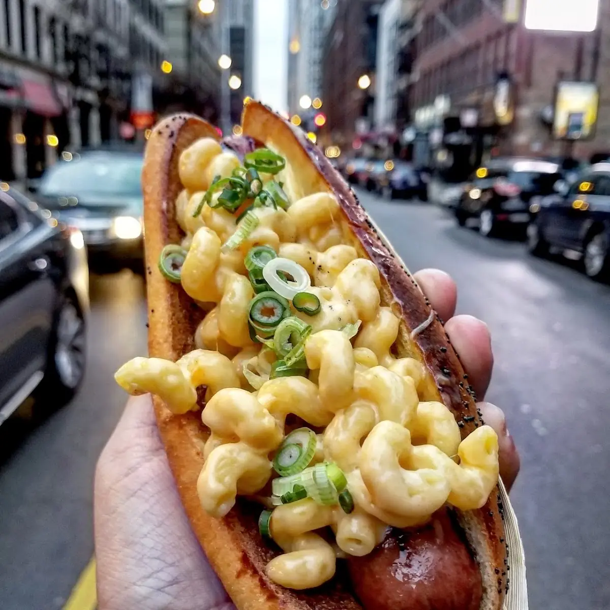 Mac & Cheese Dog