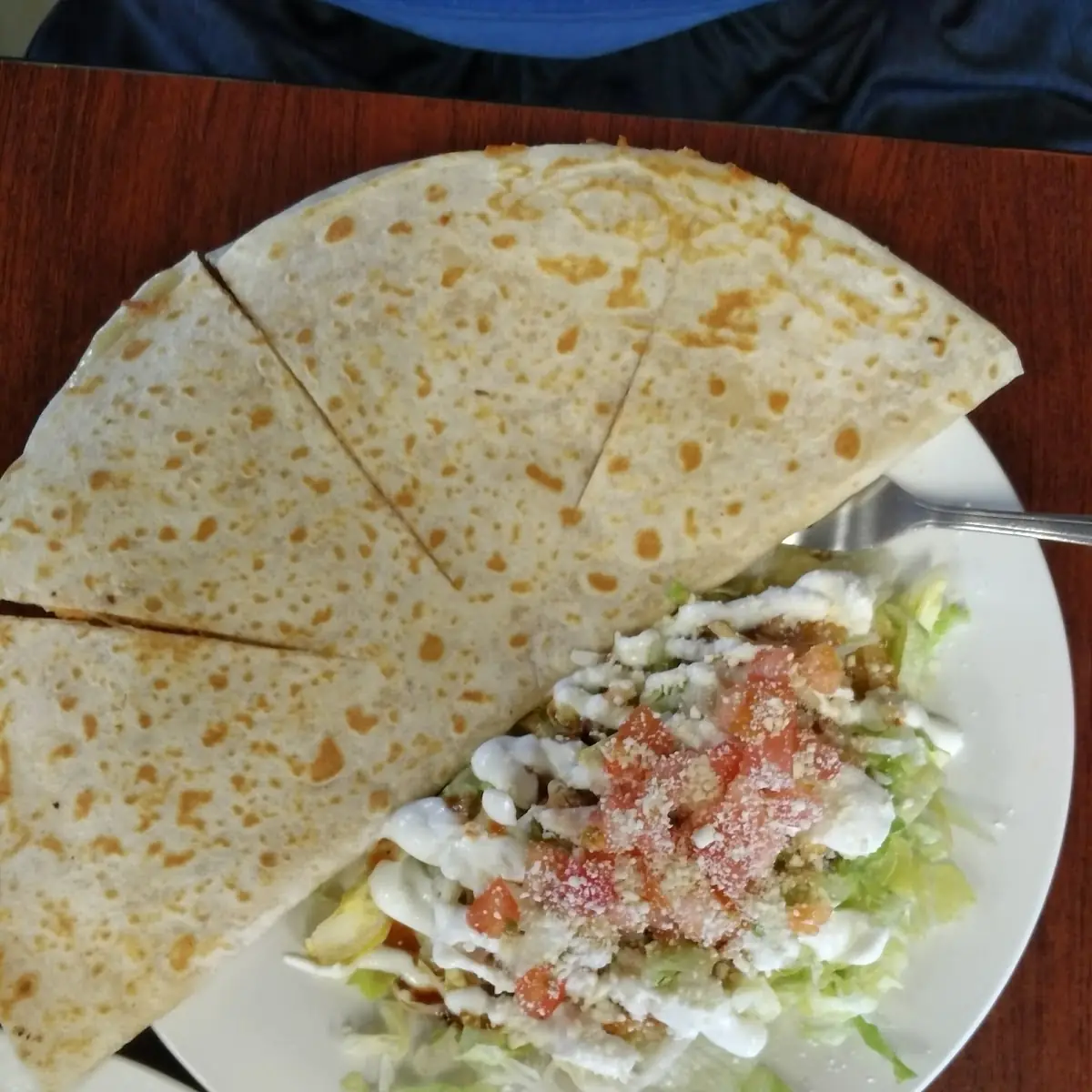 Quesadilla Especial