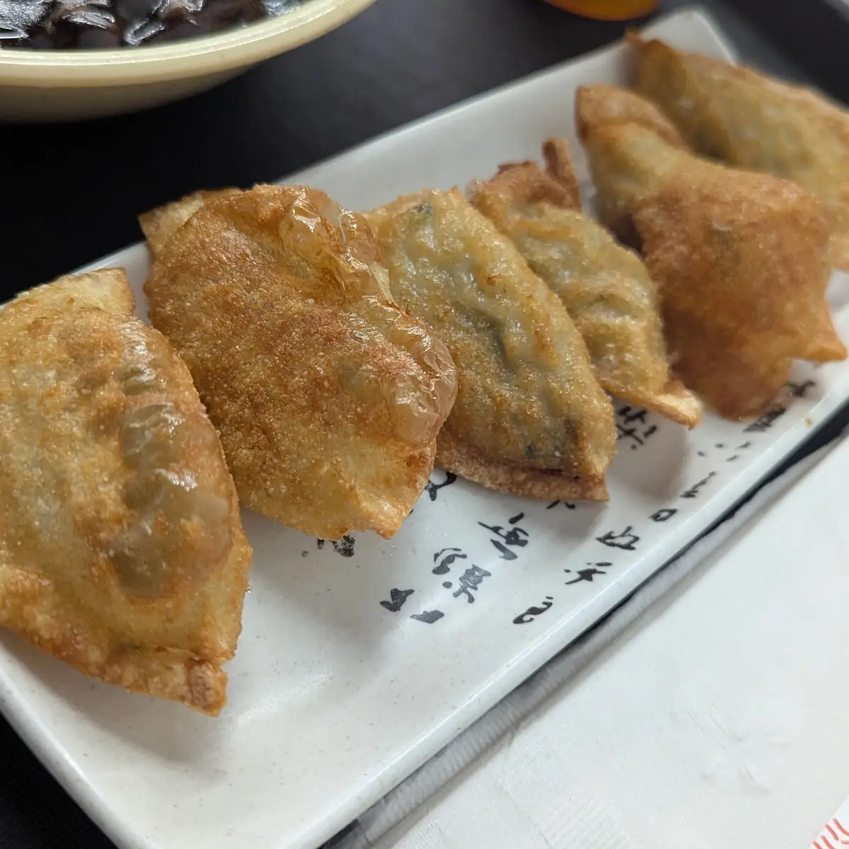 Fried Dumplings 6pcs