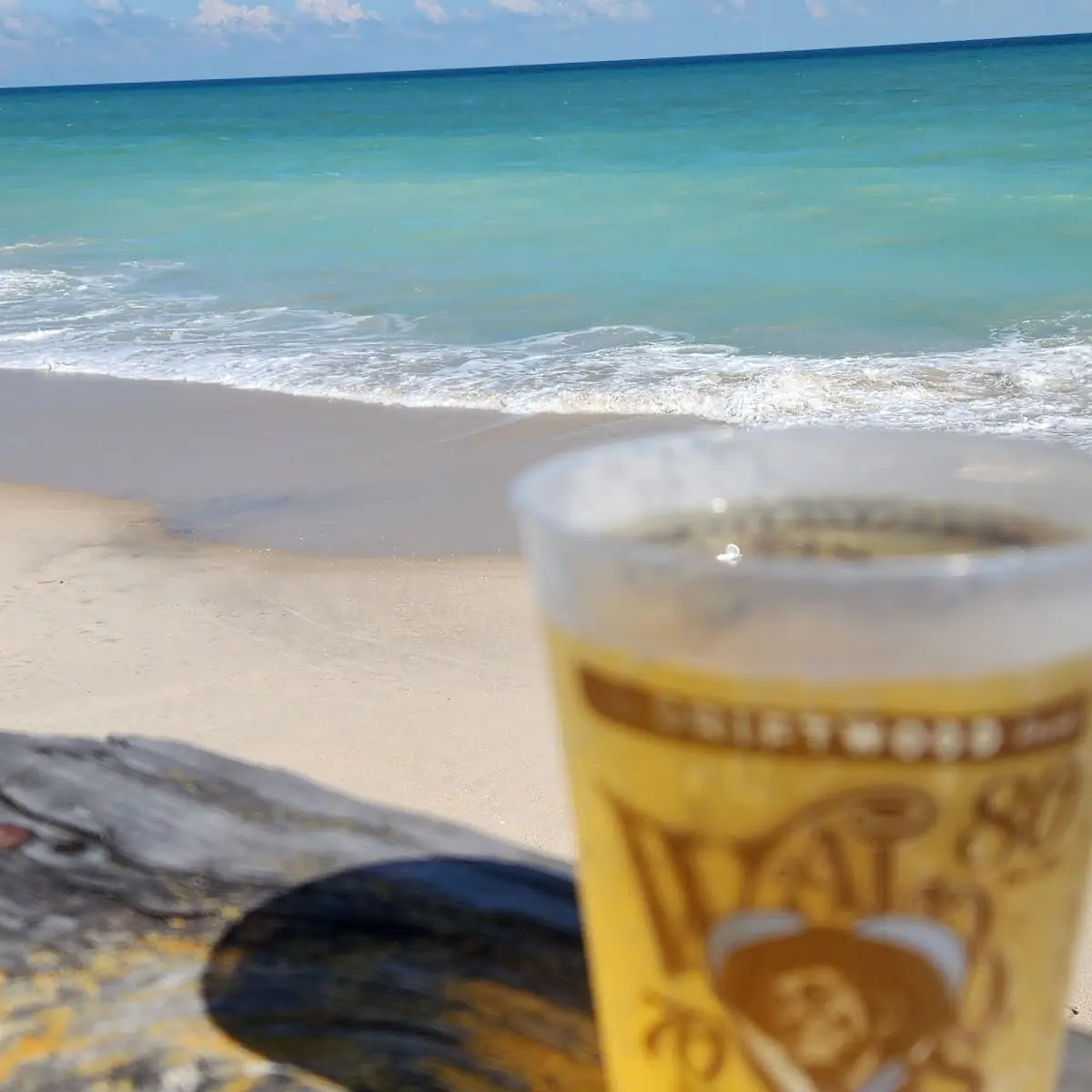 Ice Cold Bud Light