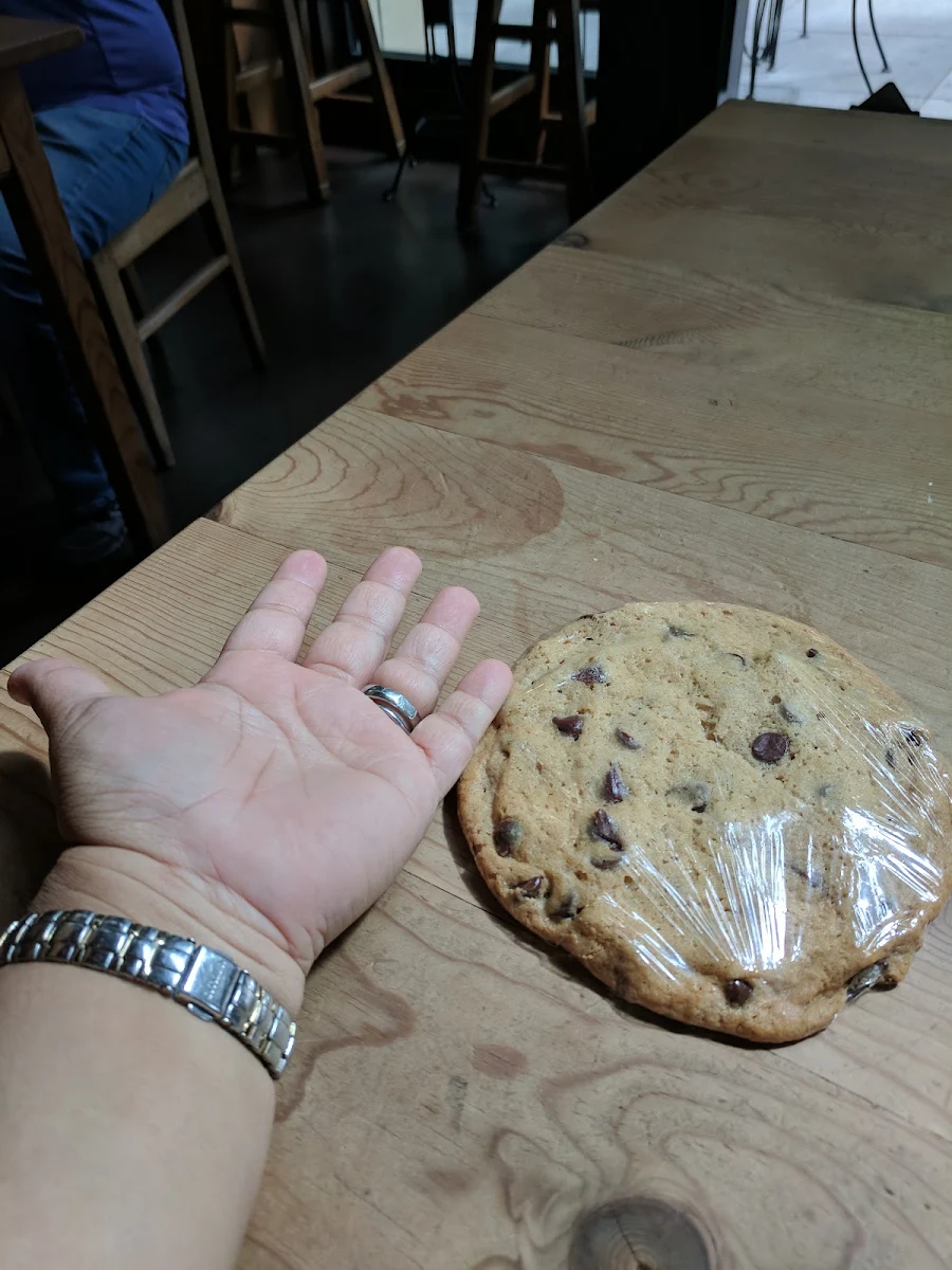 Chocolate Chip