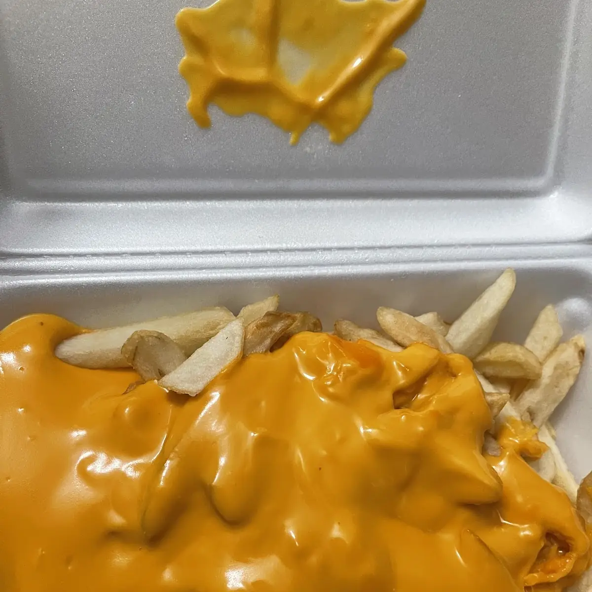 Chili Cheese Fries