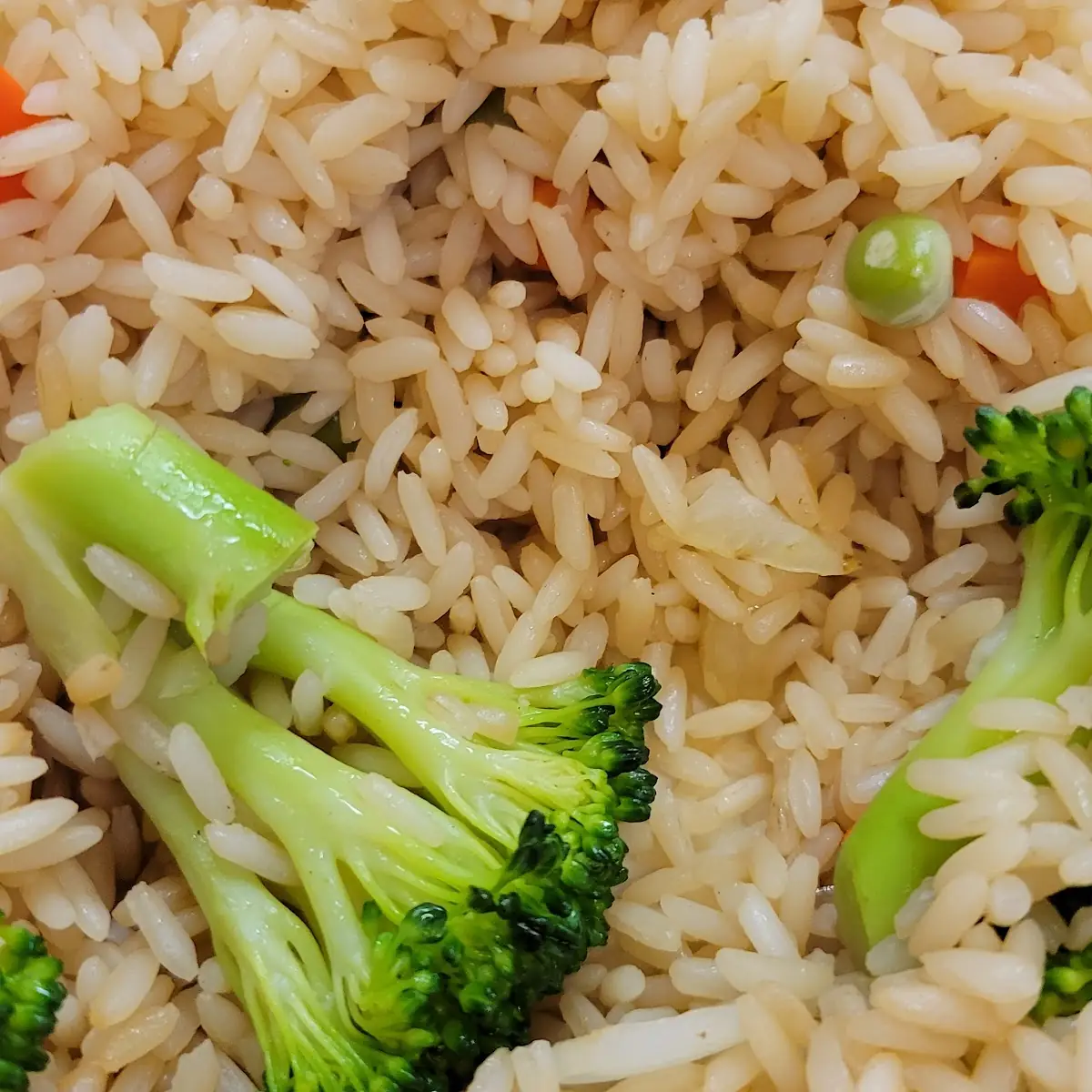 Vegetable Fried Rice