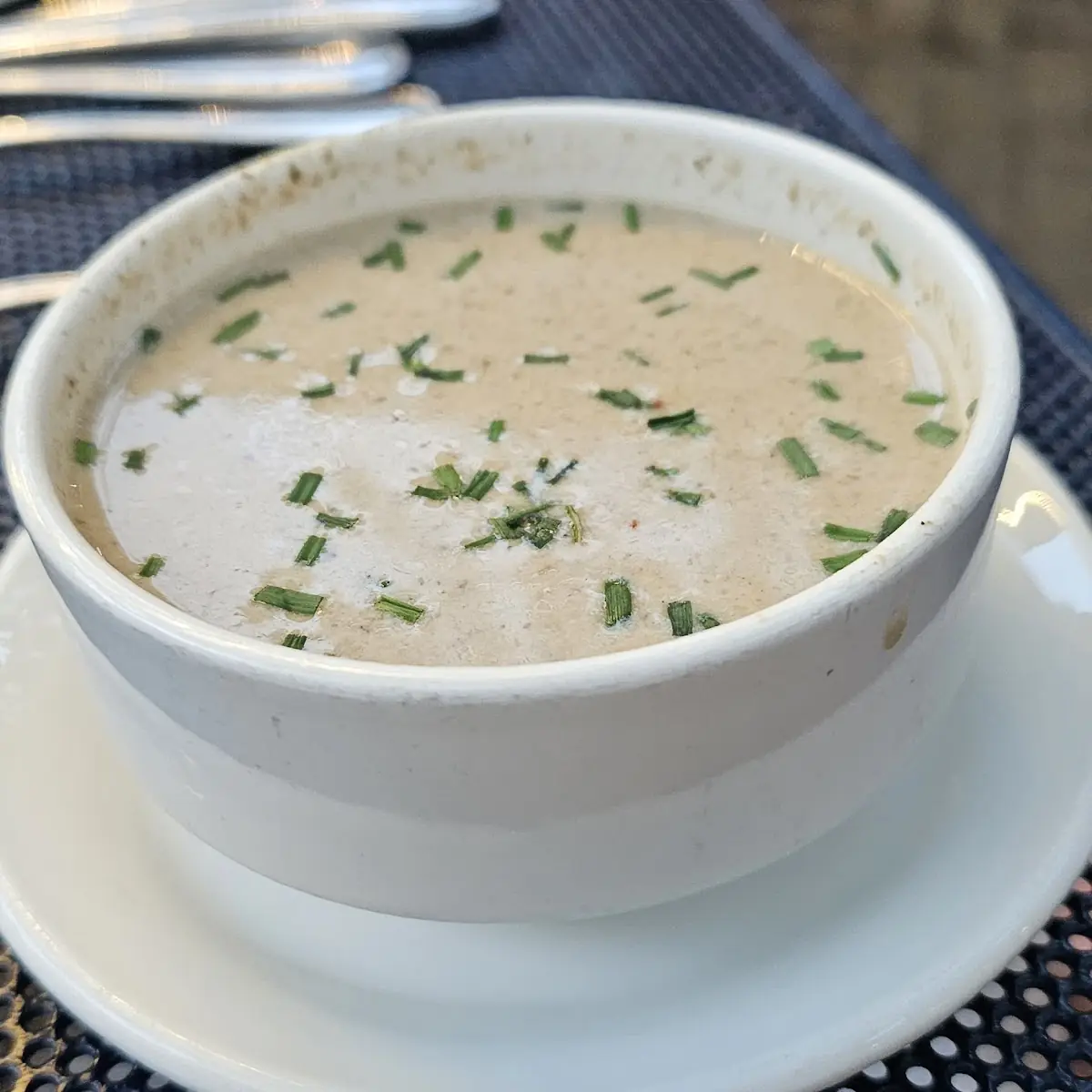 Soup of the Day