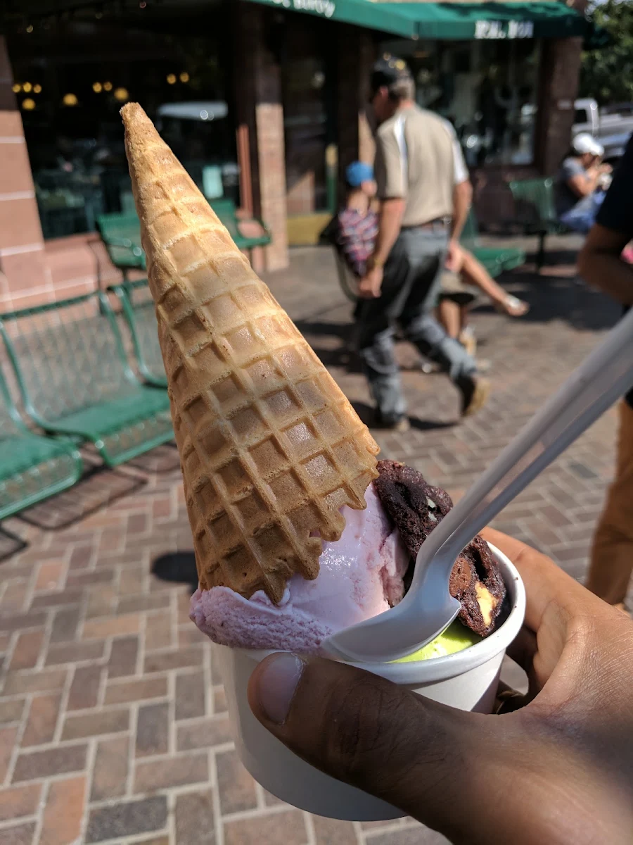 Chocolate Ice Cream