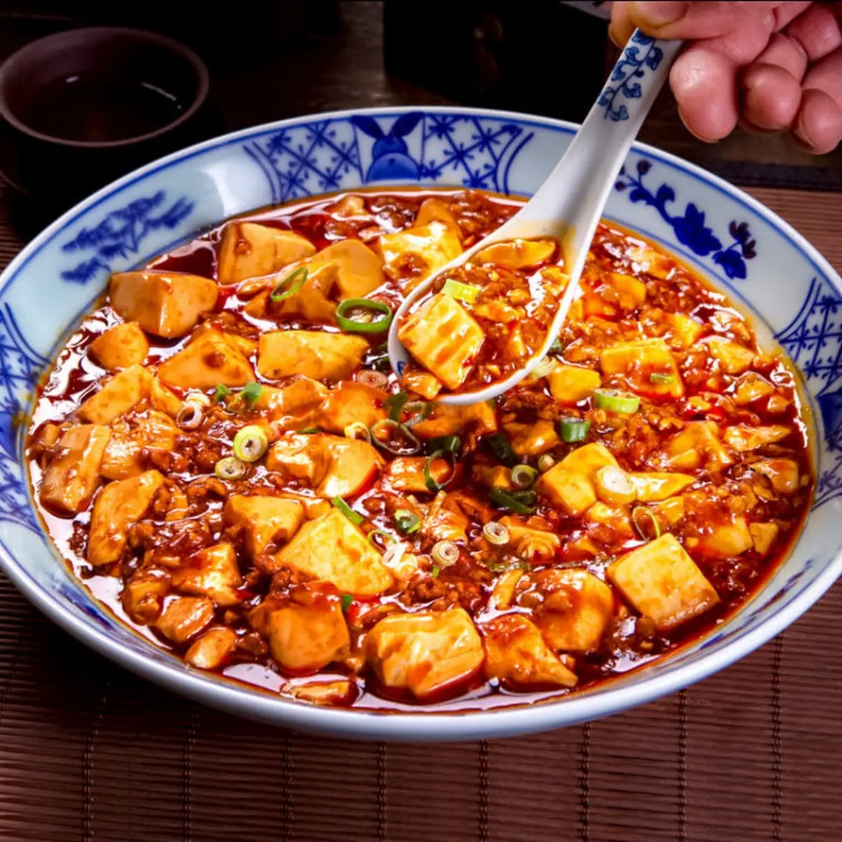 Mapo Doufu