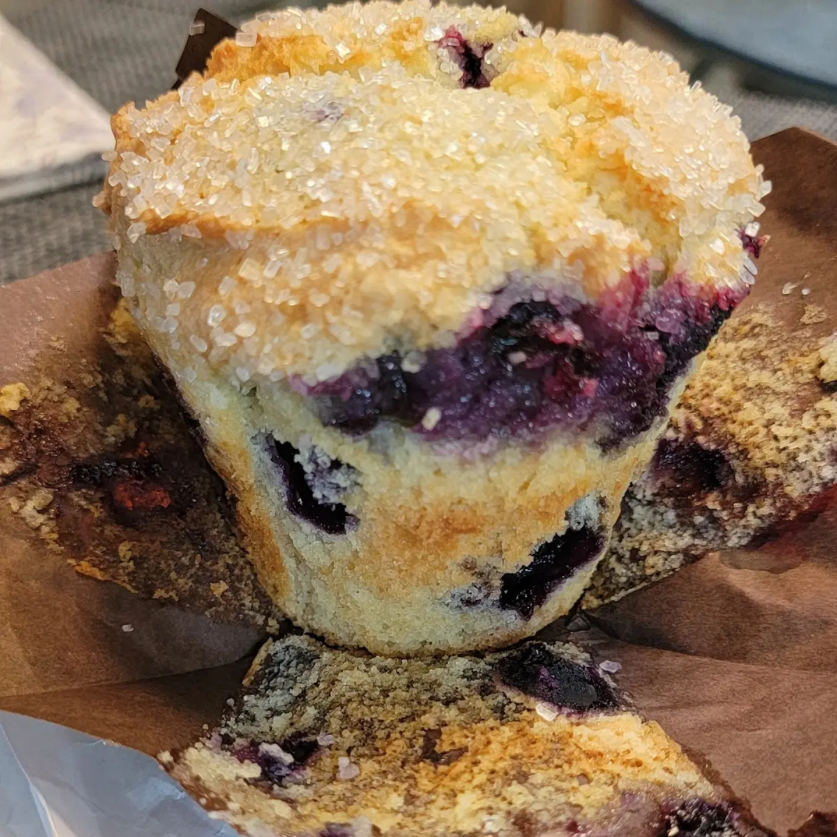 Blueberry Muffin