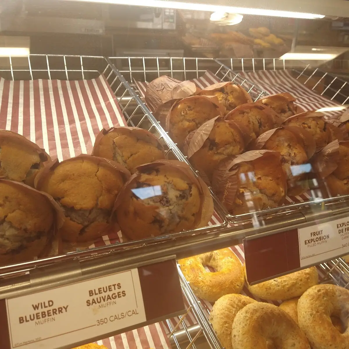 Chocolate Chip Muffin