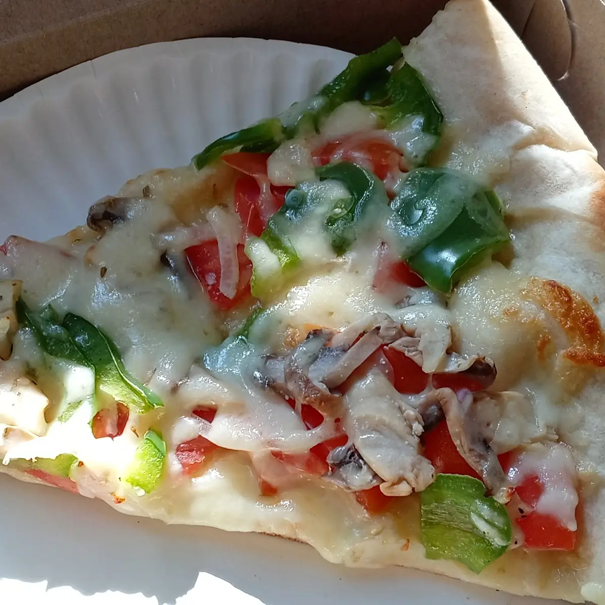 Vegetable Pizza