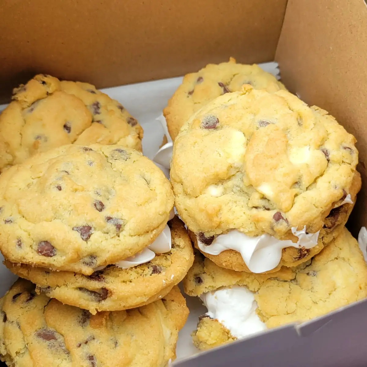 Chocolate Chip