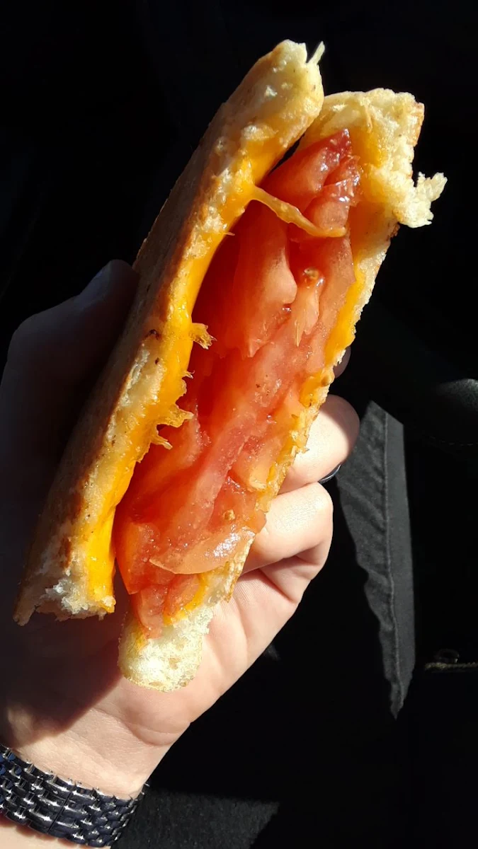 Grilled Cheese Sandwhich with 2 Added Tomato
