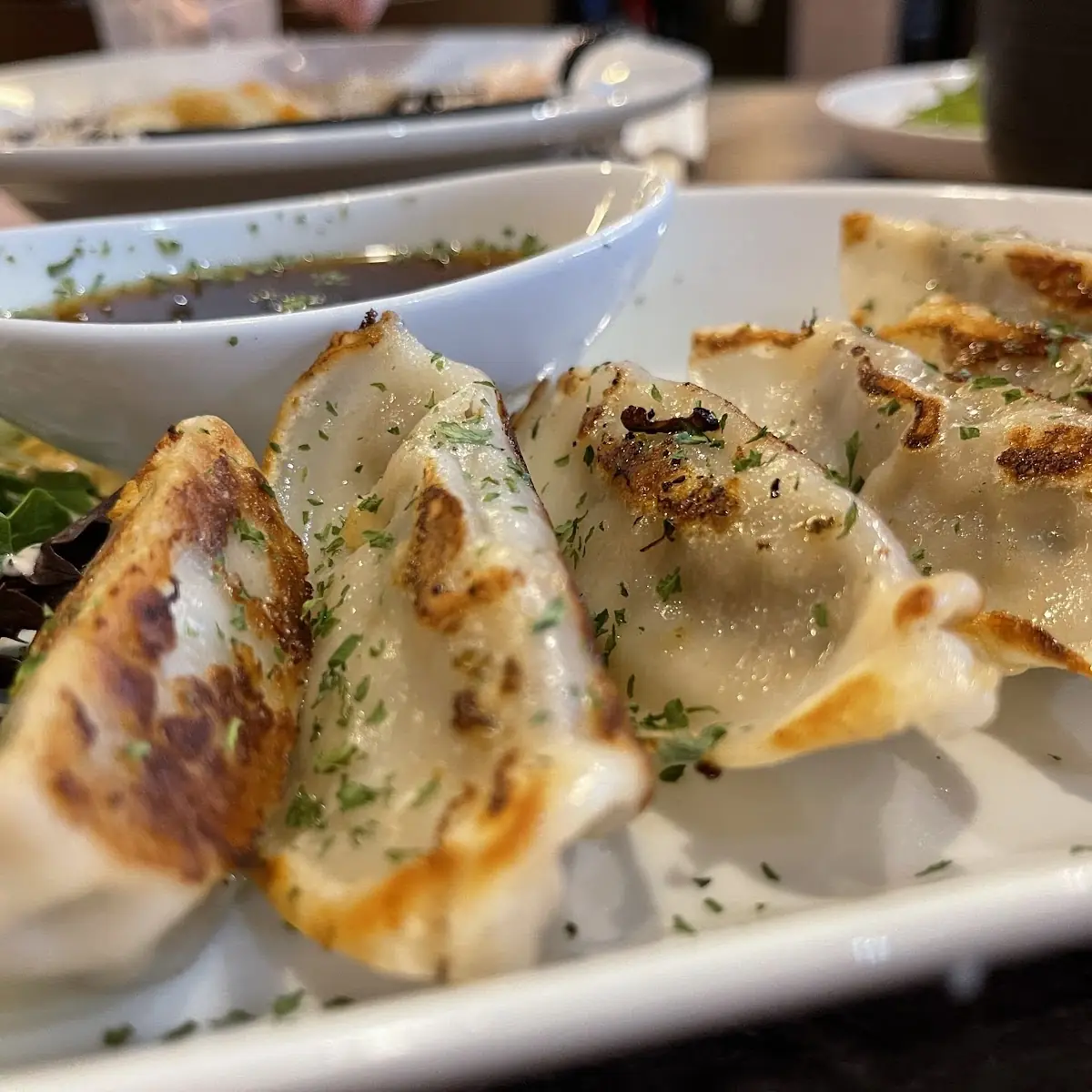 Deep Fried Gyoza