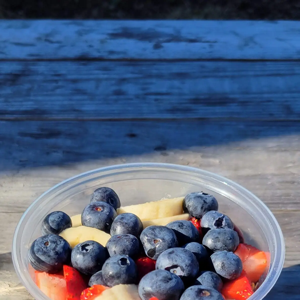 Kids Fresh Fruit Cup