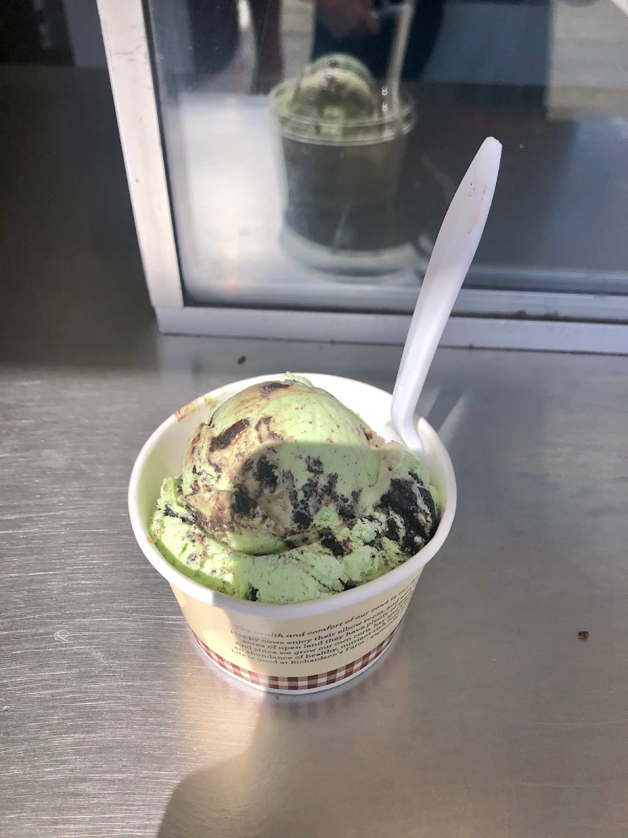 Chocolate Chip