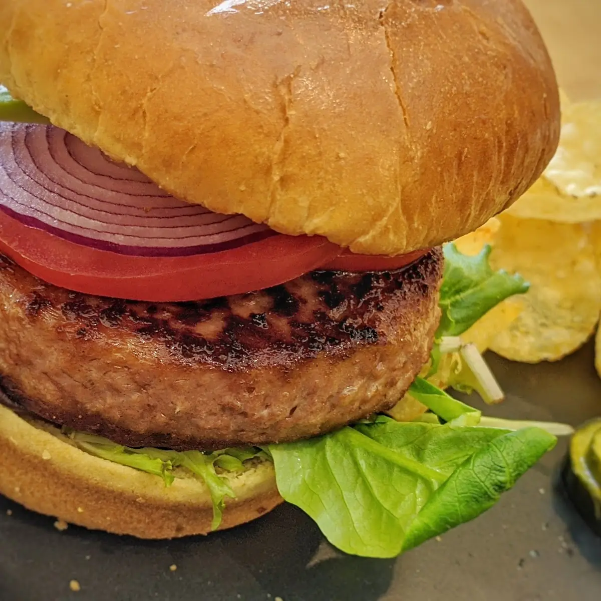 Plant Based Burger