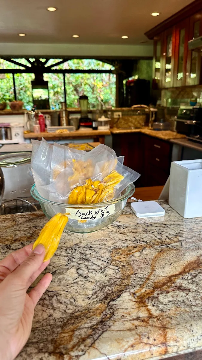 Sweet Corn