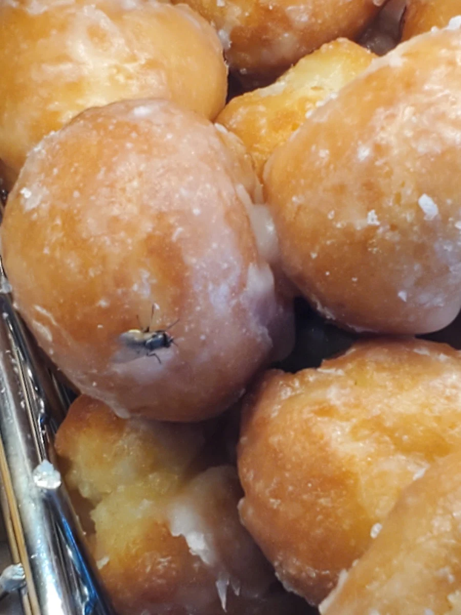 Chocolate Glazed Timbit