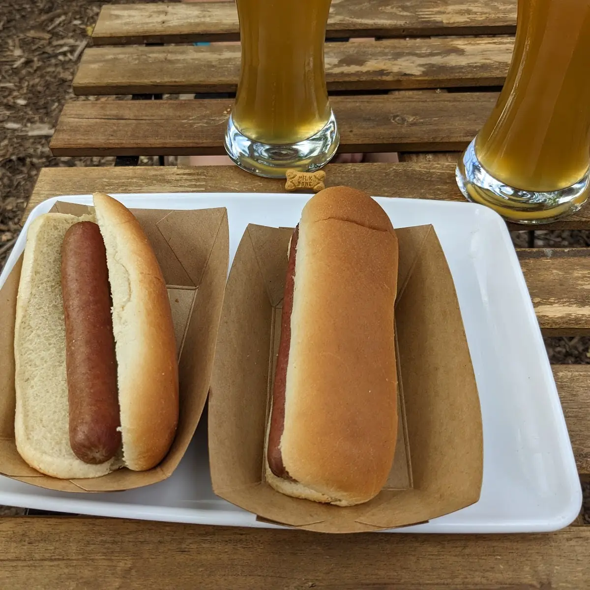 Classic American Hot Dog 2