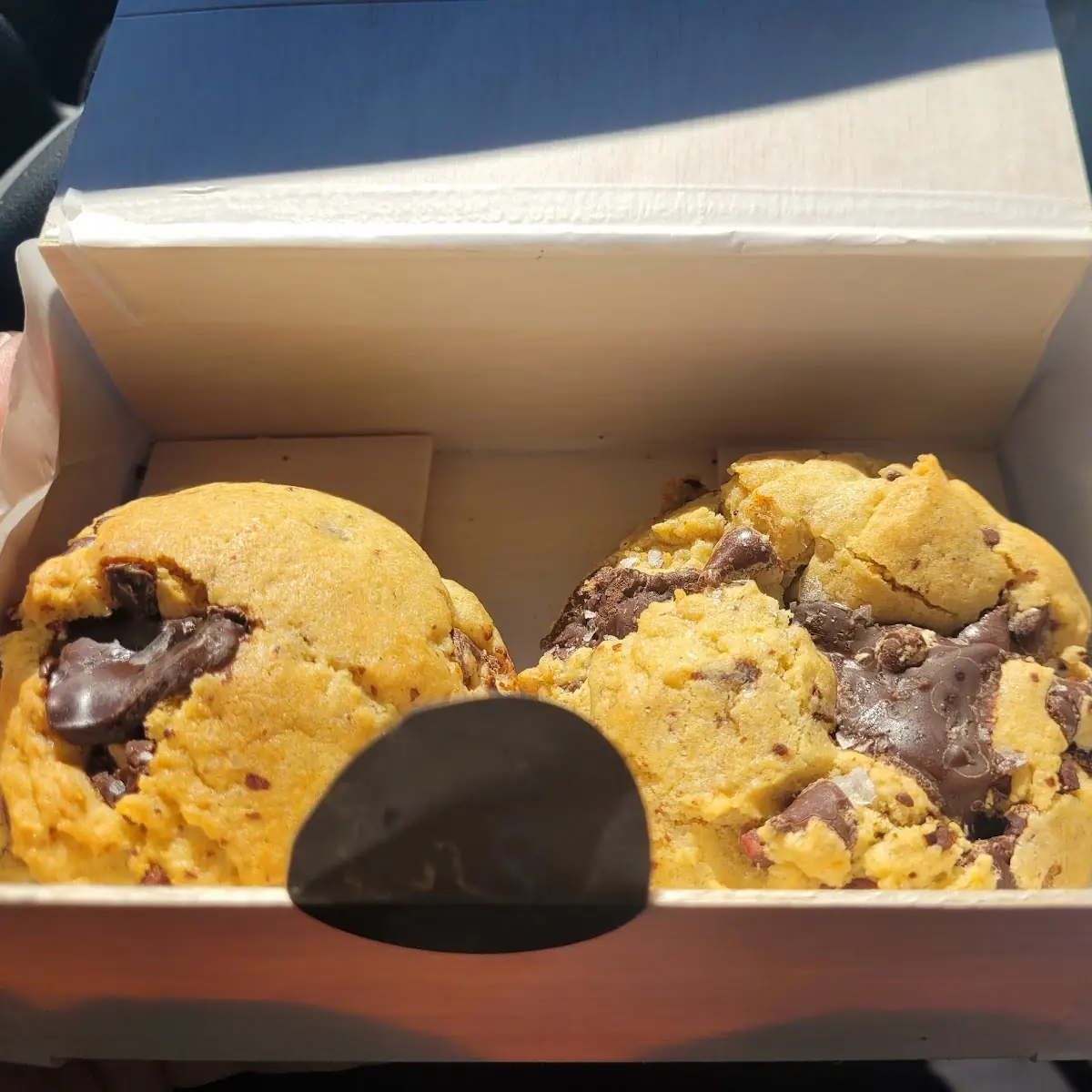 Homemade Chocolate Chip Cookies