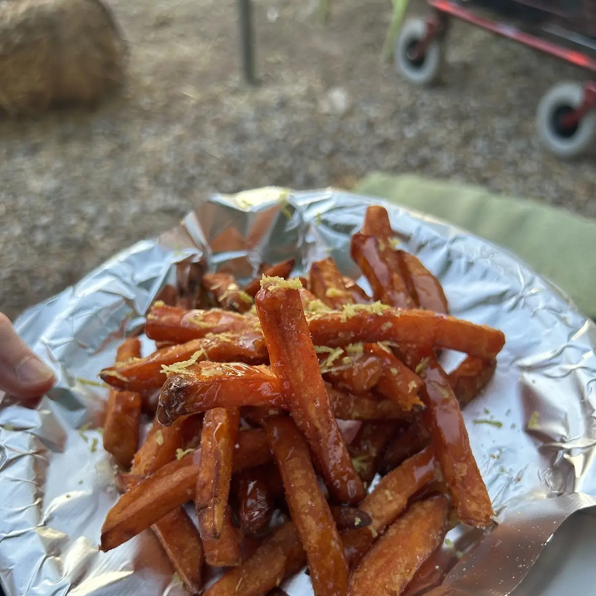 Sweet Potato Fries