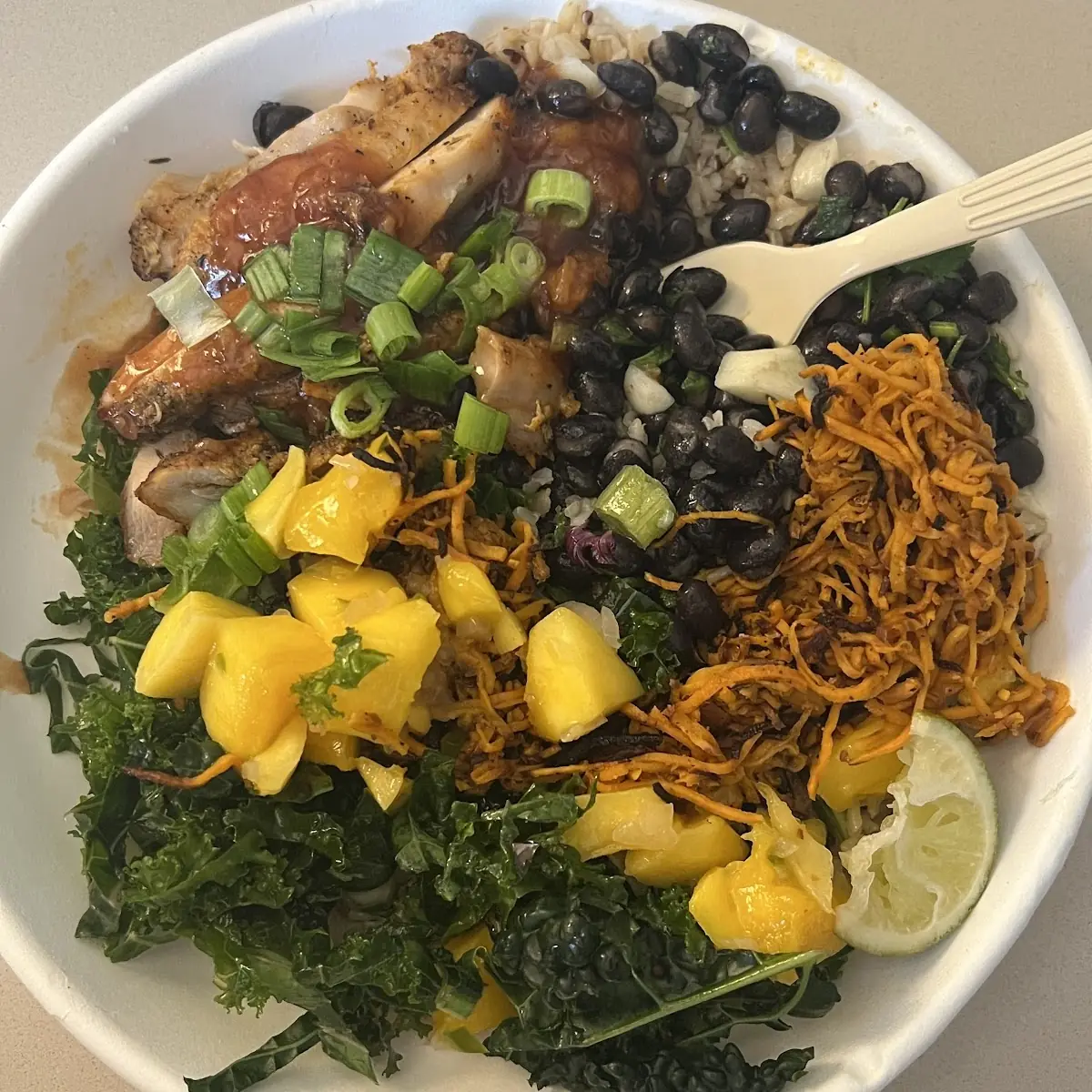 Mango Chicken Bowl
