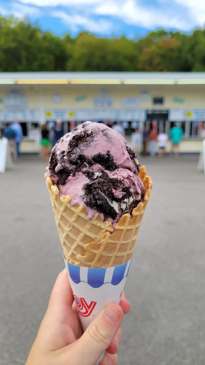 Black Raspberry Oreo