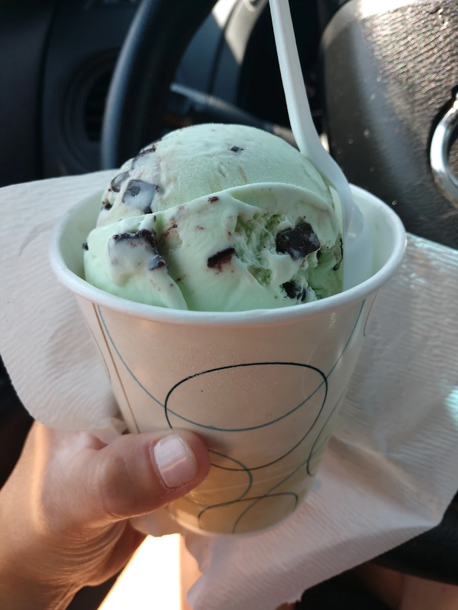 Mint Chocolate Chip