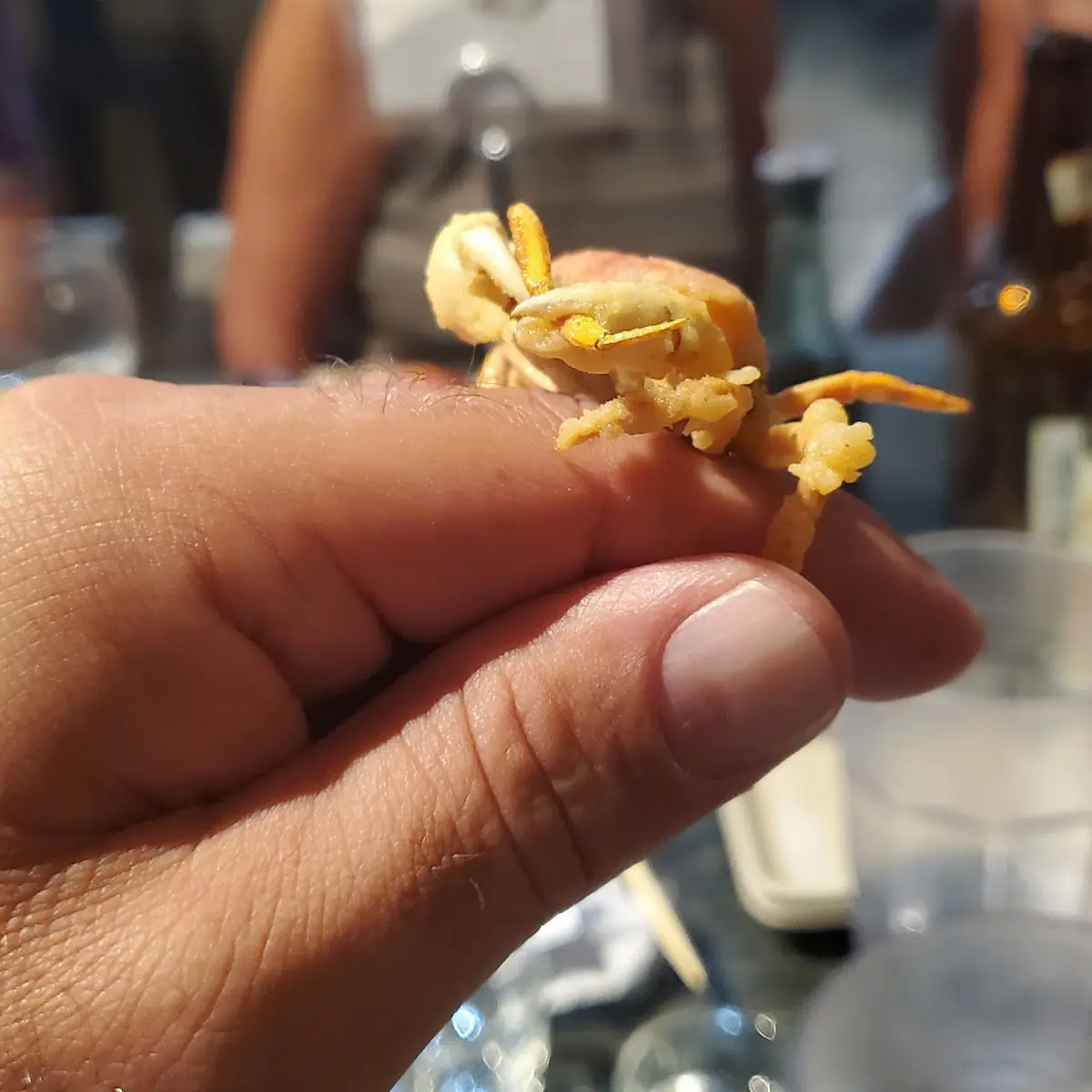 Soft Shell Crab