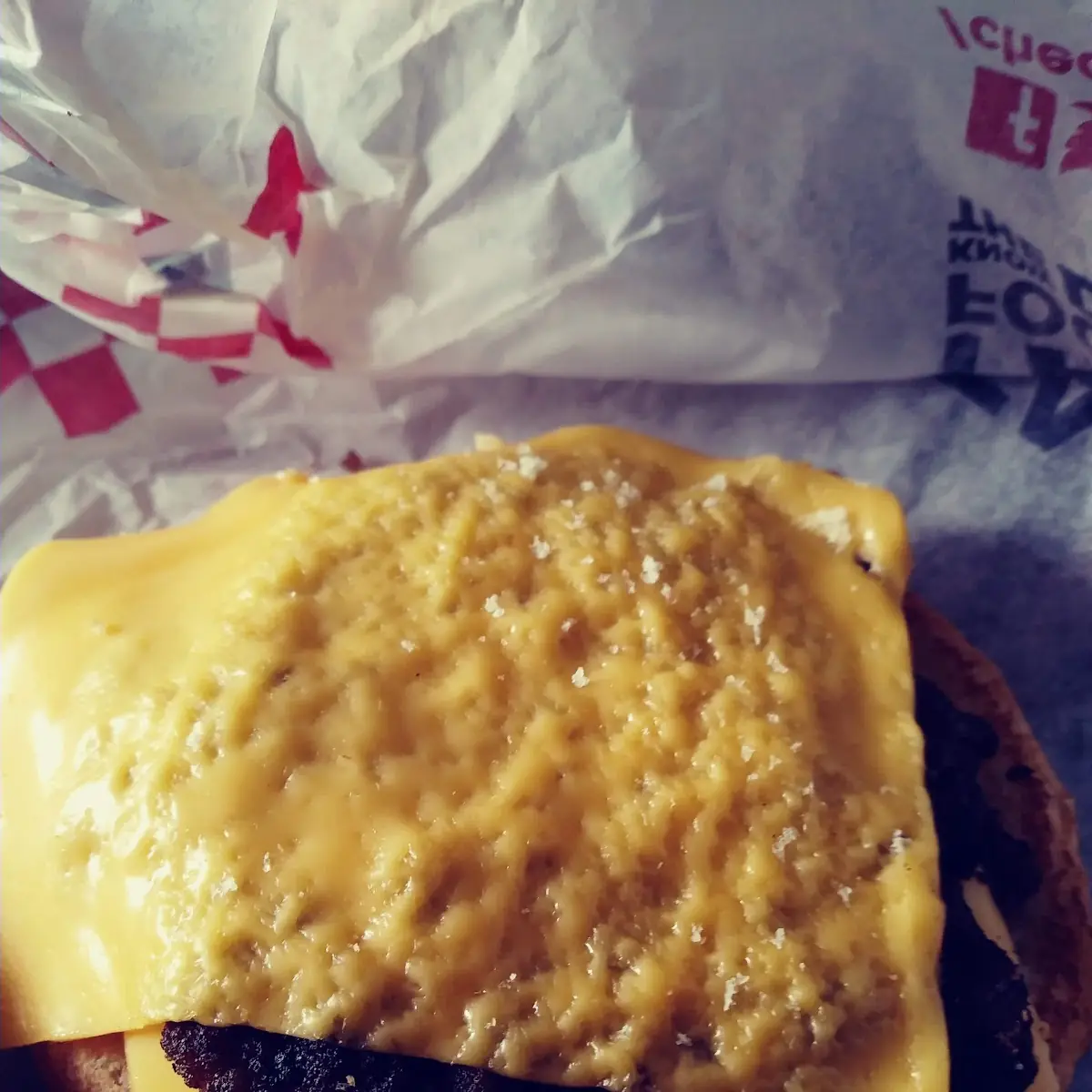Double Cheeseburger