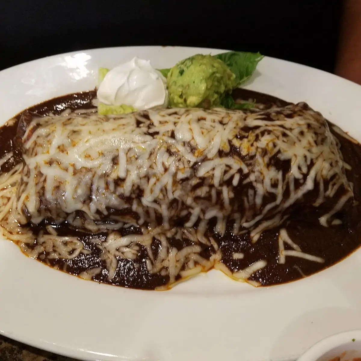 Chile Relleno & Enchilada Combo