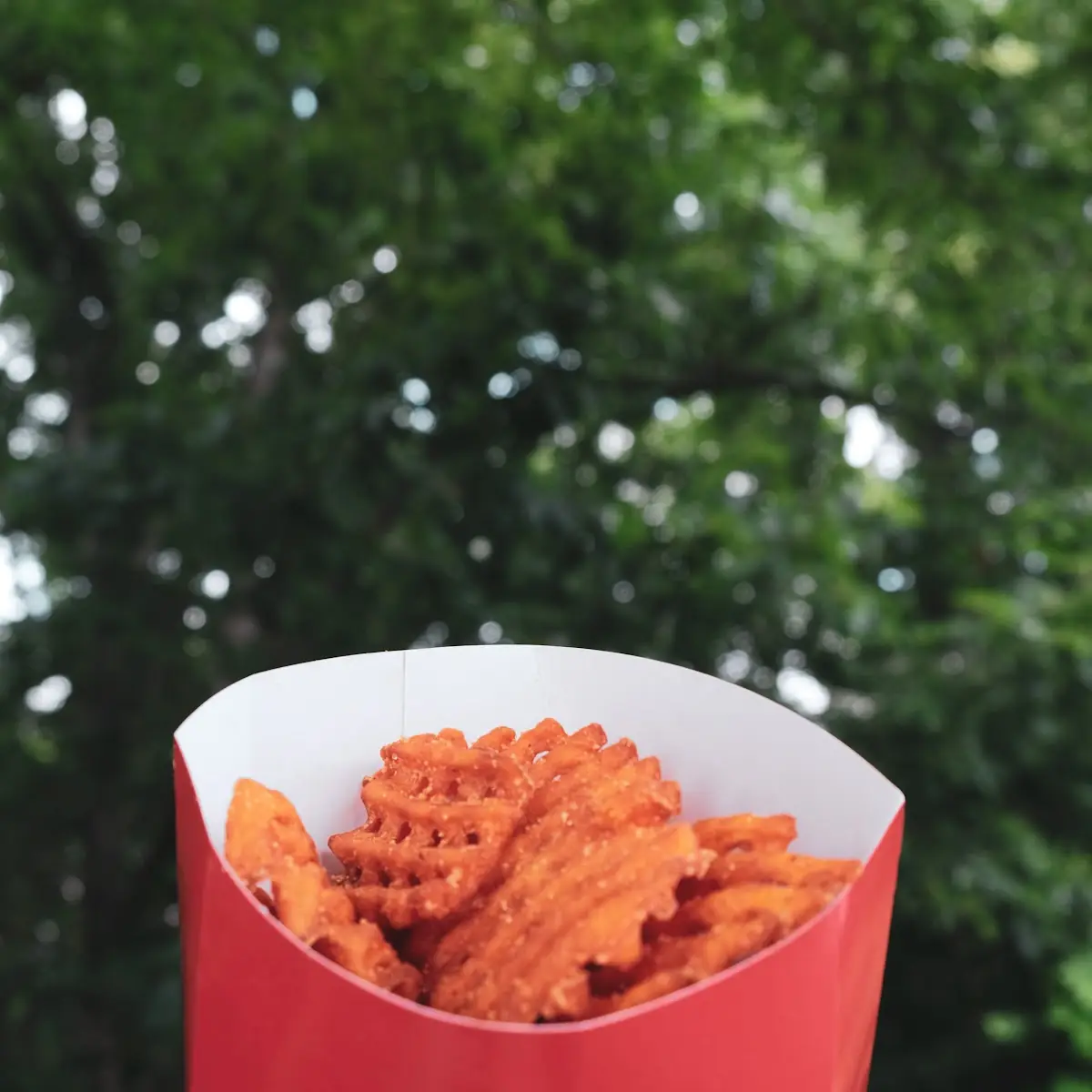Chick-Fil-A Waffle Potato Fries