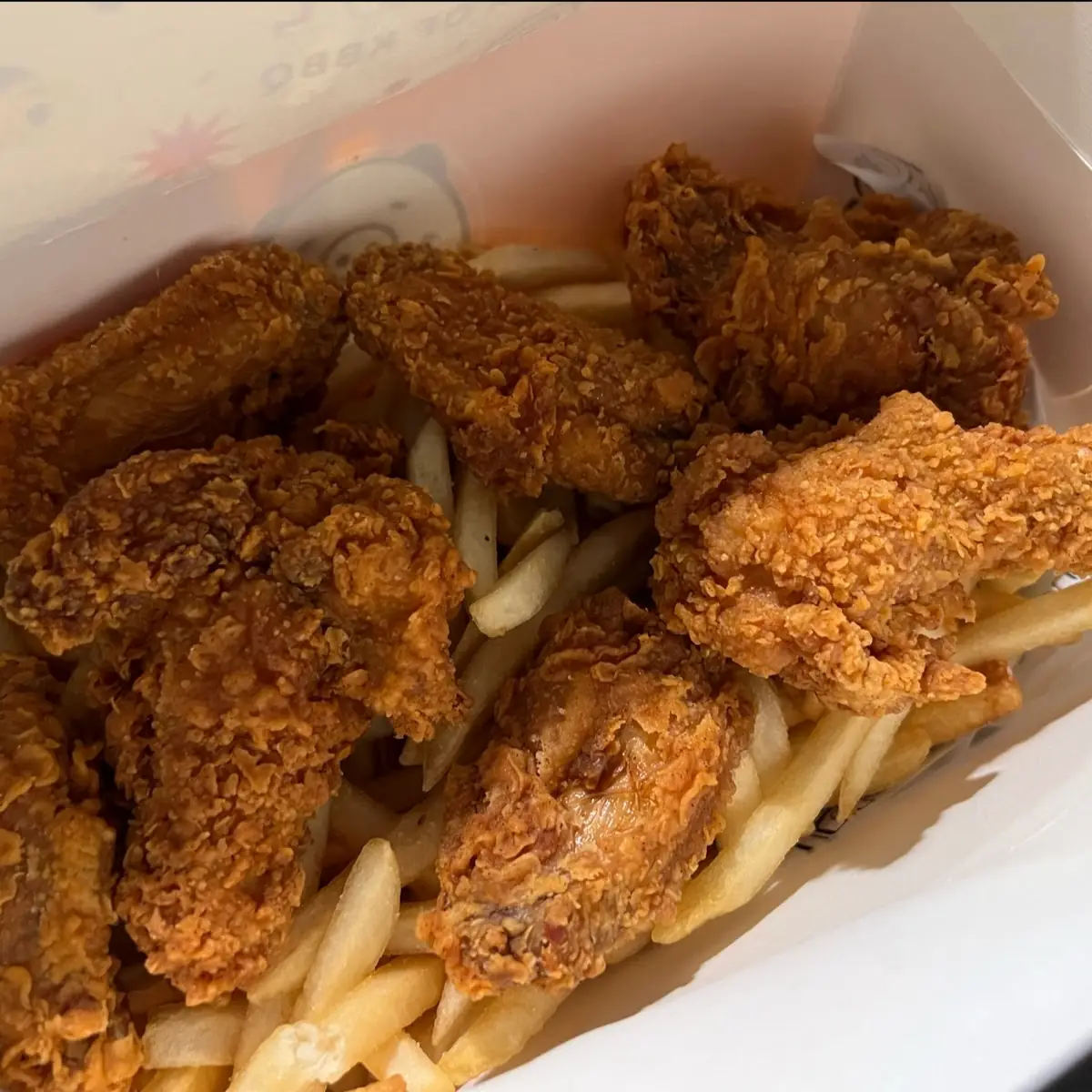 Fried Chicken Wings with Fries