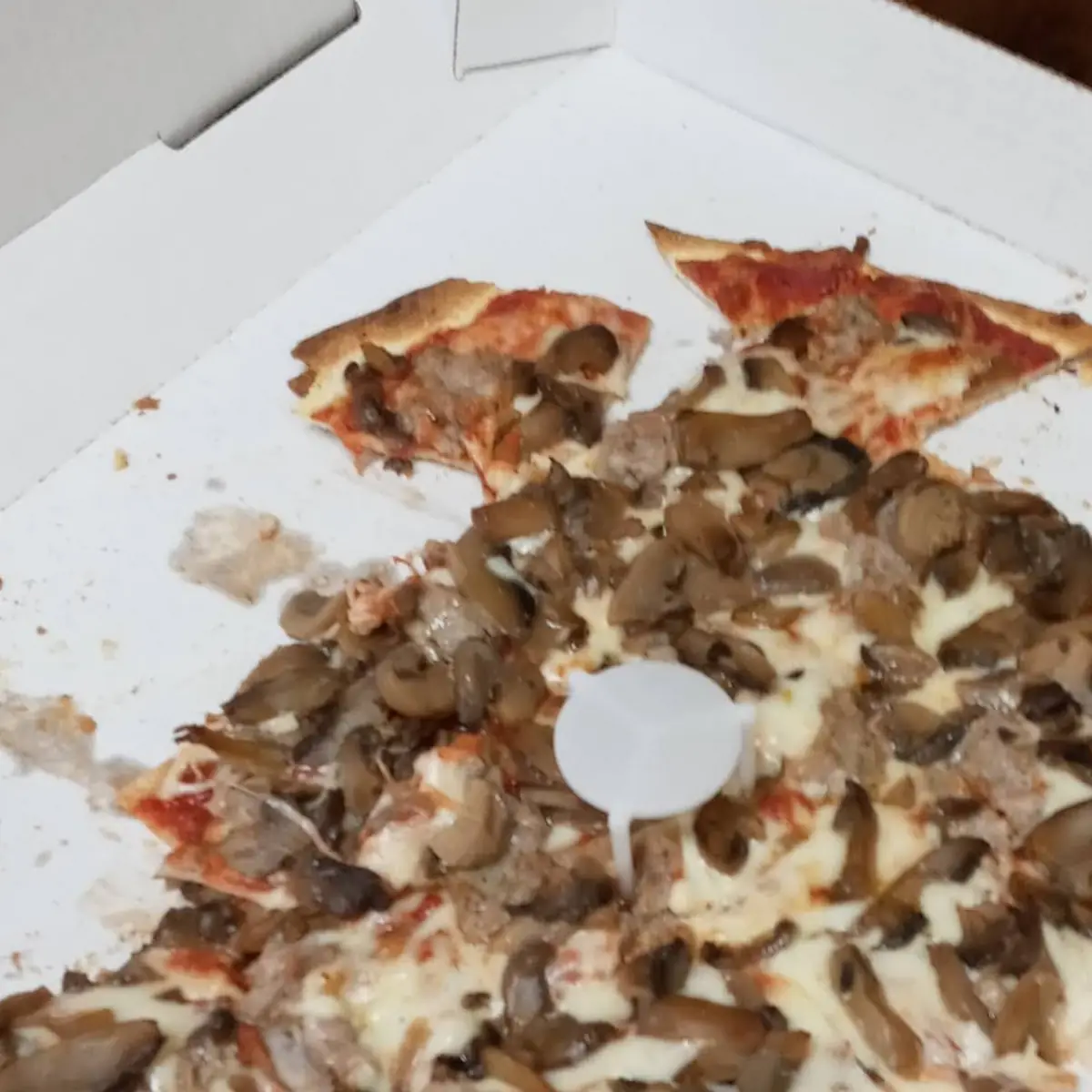 Mushroom Pizza