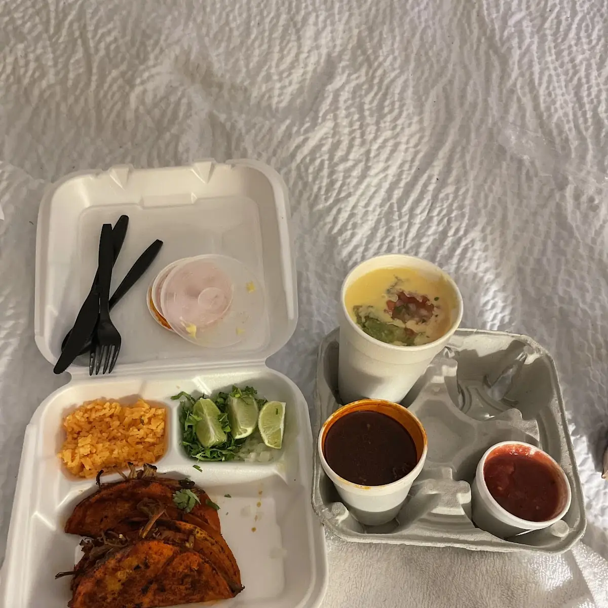 Birria Tacos Plate
