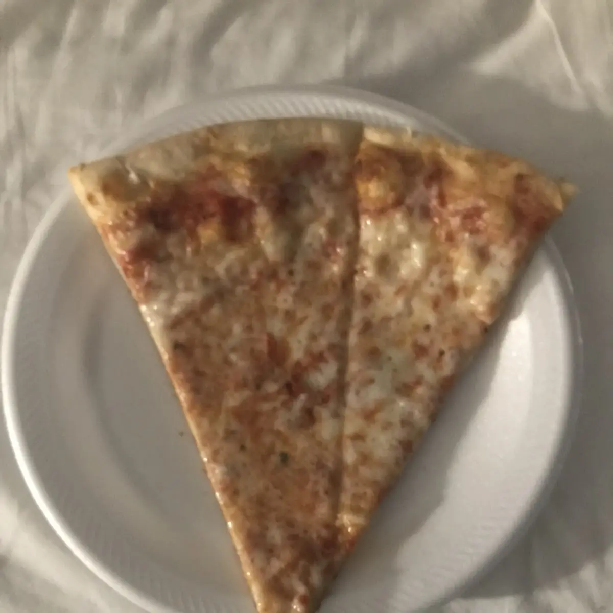 Plain Cheese Pizza Slice