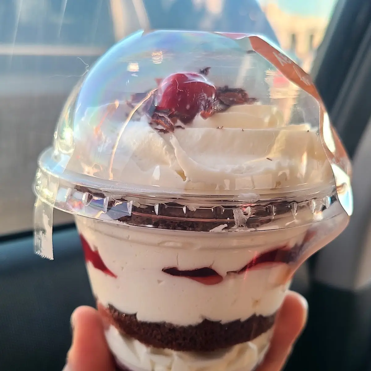 Black Forest Cake Cup, Today Cafe (Wyandotte St W)