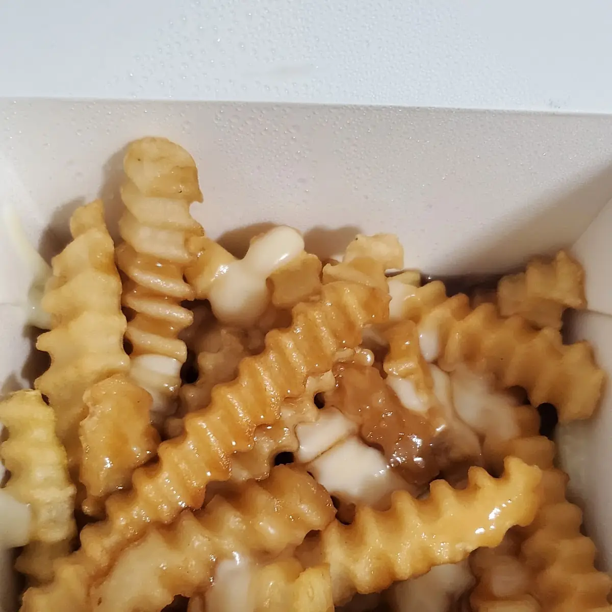 Poutine, Today Cafe (Wyandotte St W)