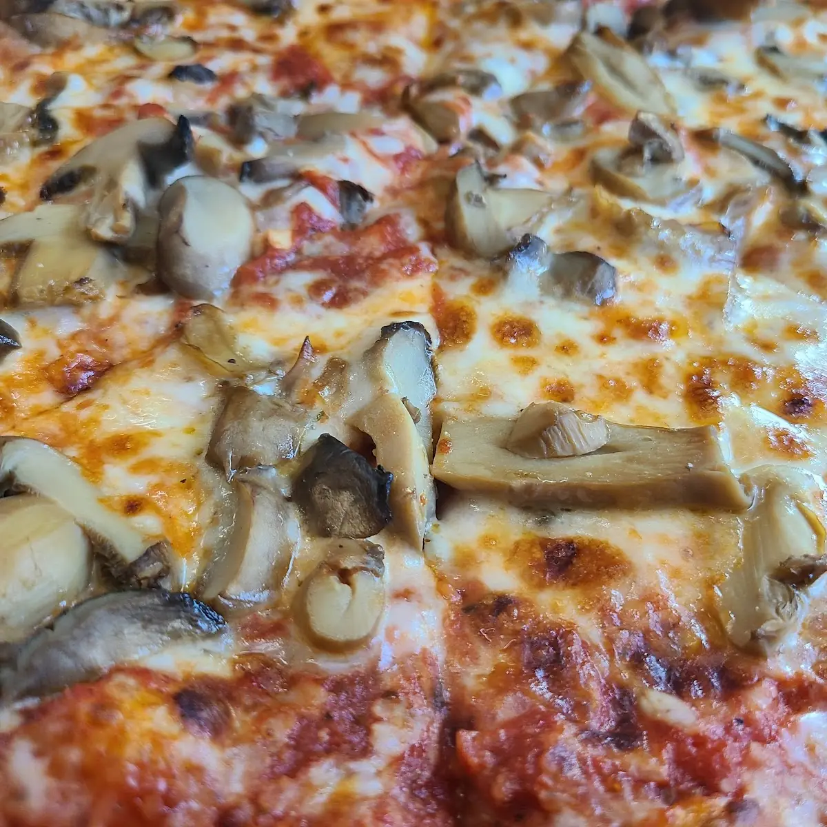 Mushroom Pizza