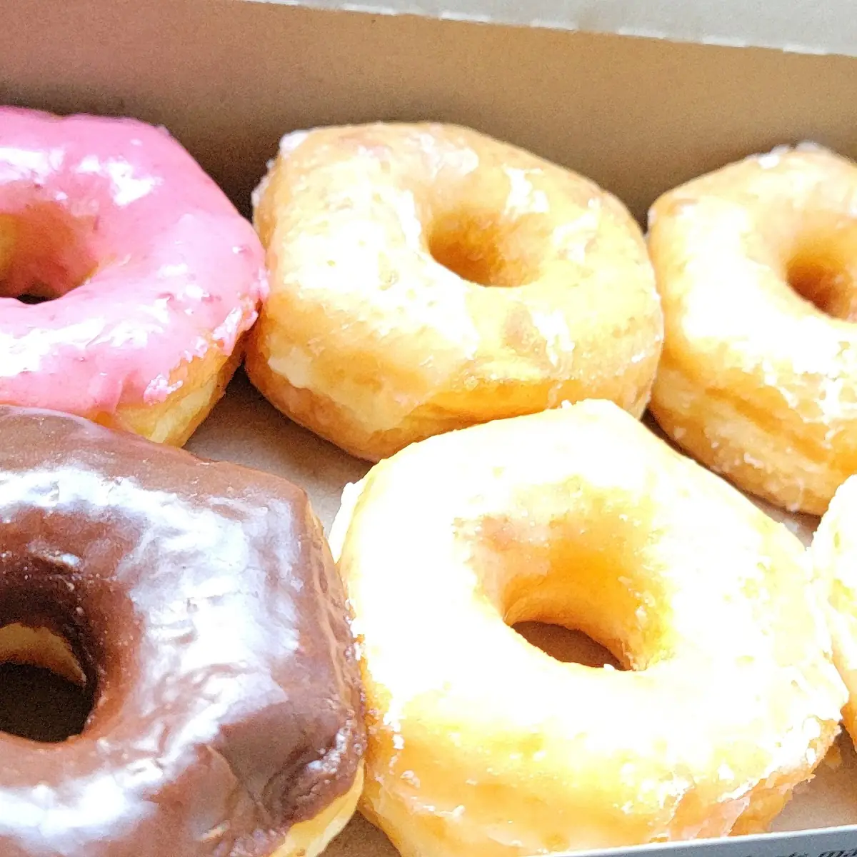 Doughnut