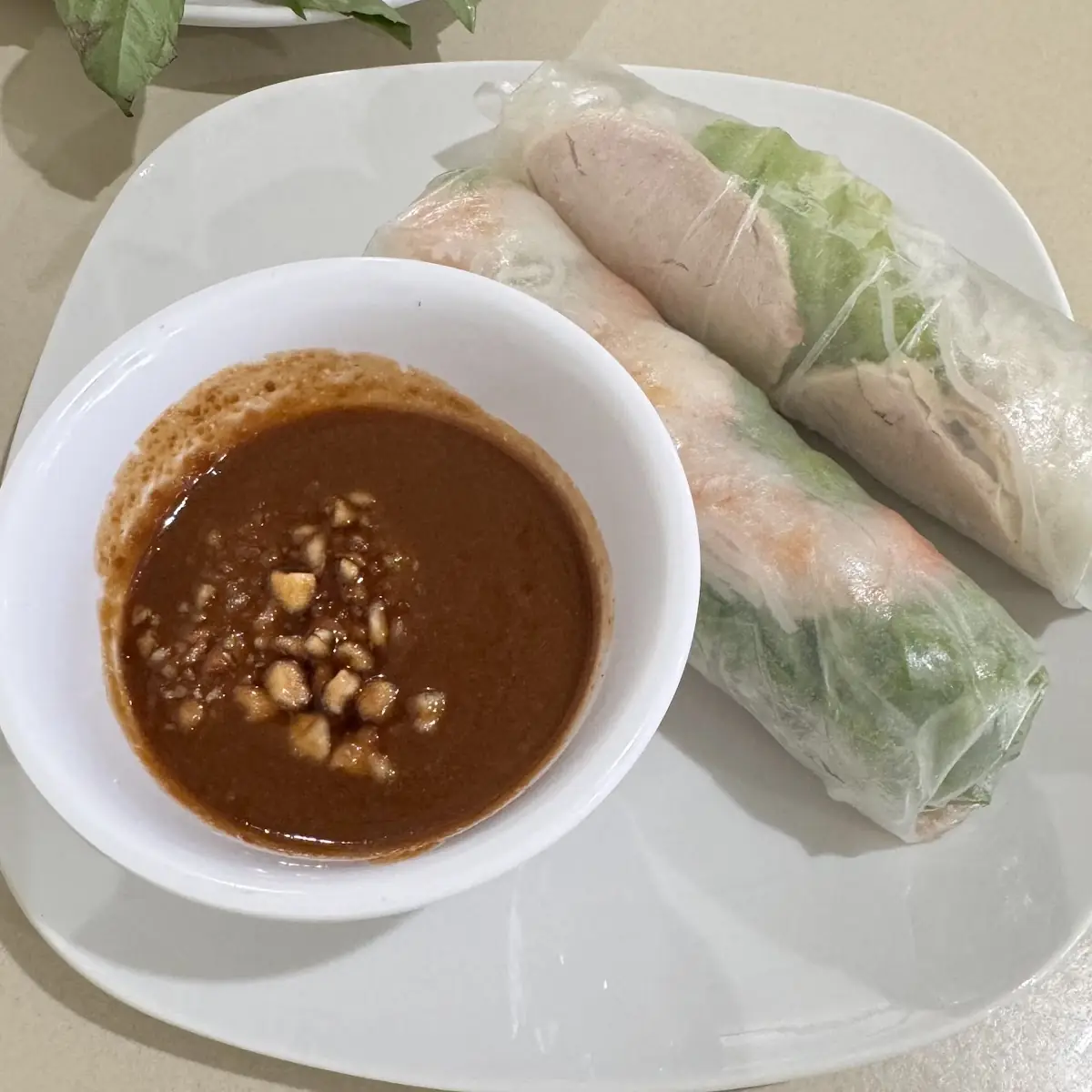 Fresh Spring Rolls