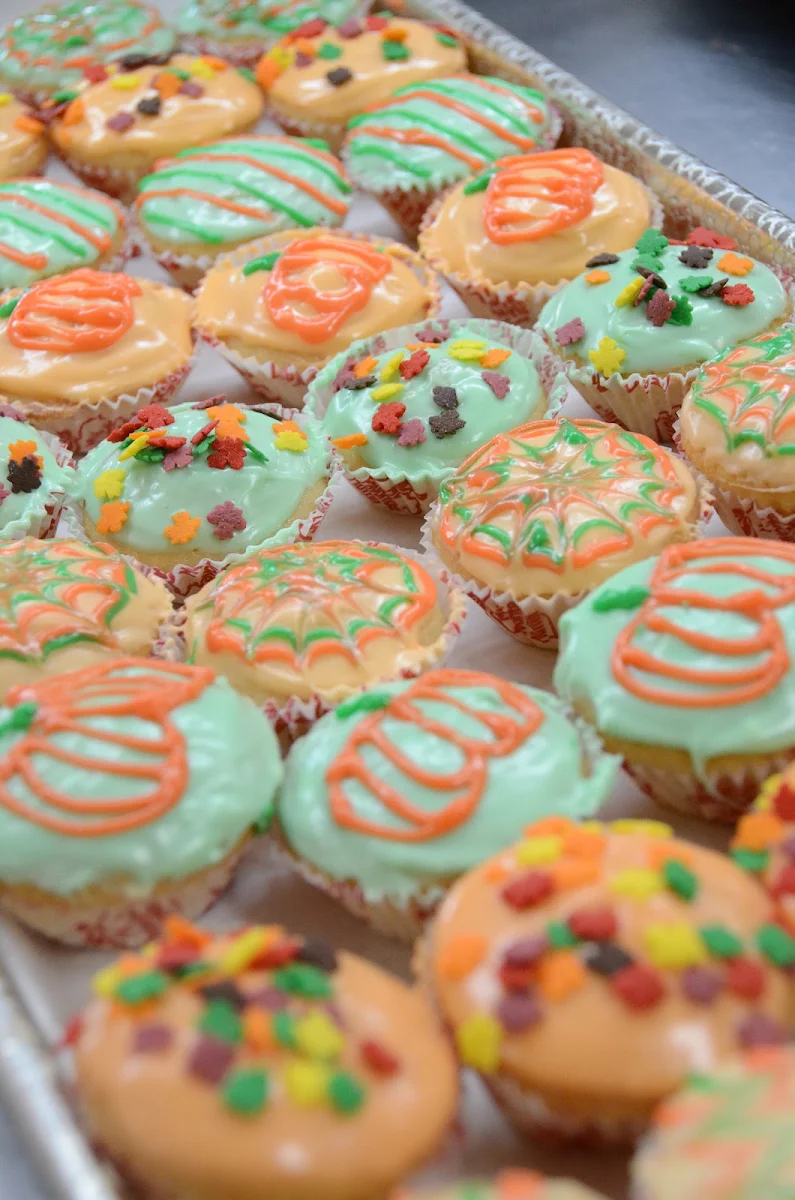 Doughnut